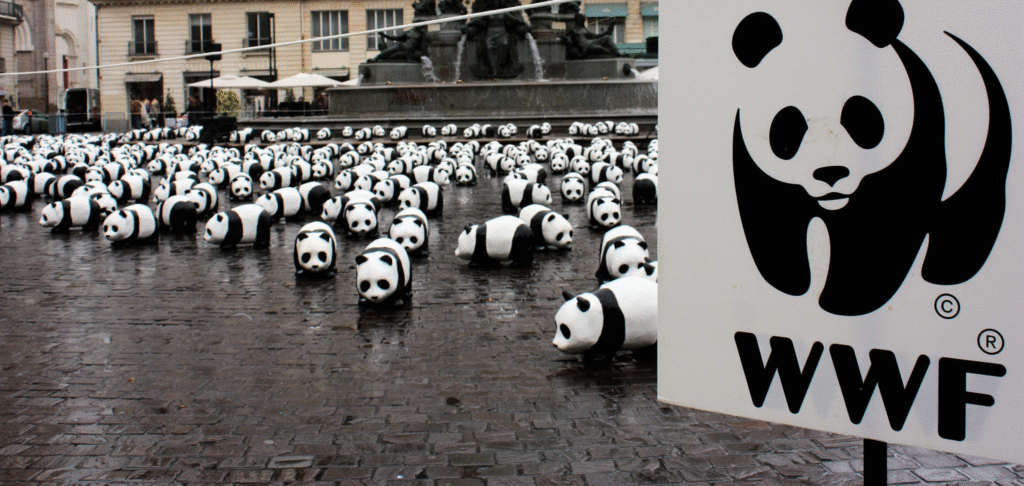 wwf