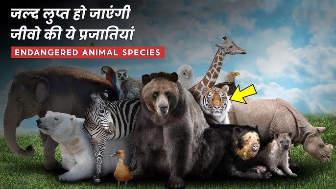 endangered species